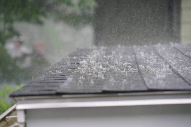 Best Roof Insulation Installation  in Juniper Canyon, OR